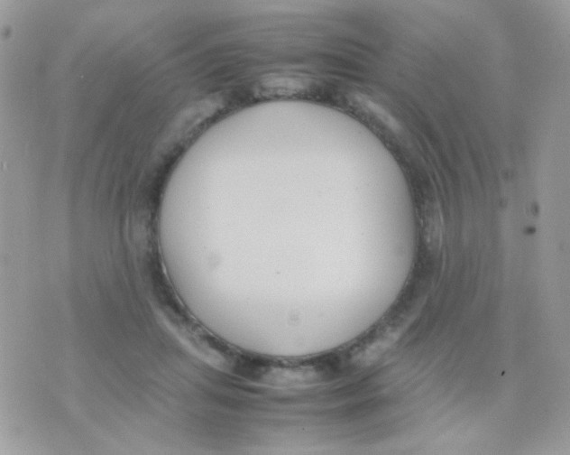 X0000074970455200609291942