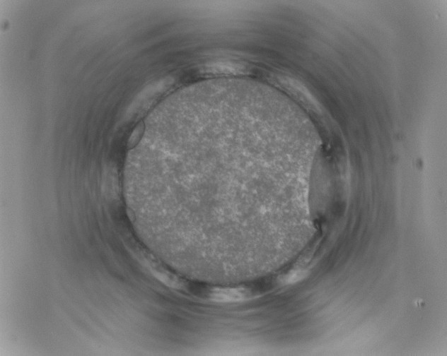 X0000074970457200609291942