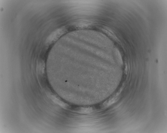 X0000074970458200609291942