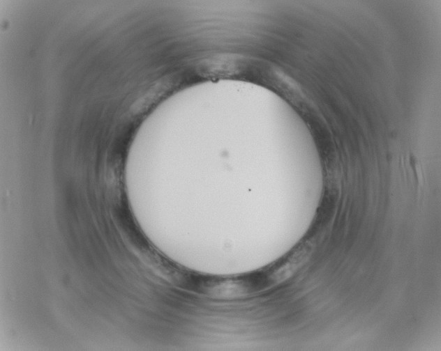 X0000074970460200609291942