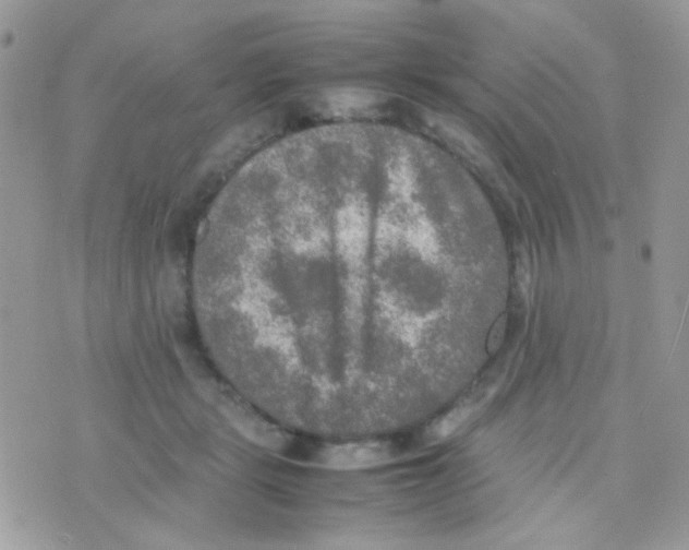 X0000074970461200609291942