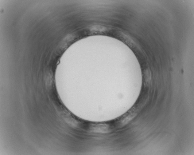 X0000074970463200609291942