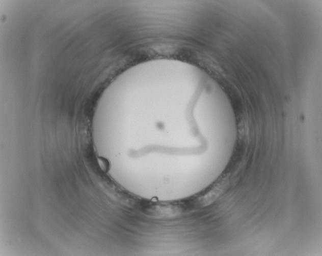 X0000074970464200609291942