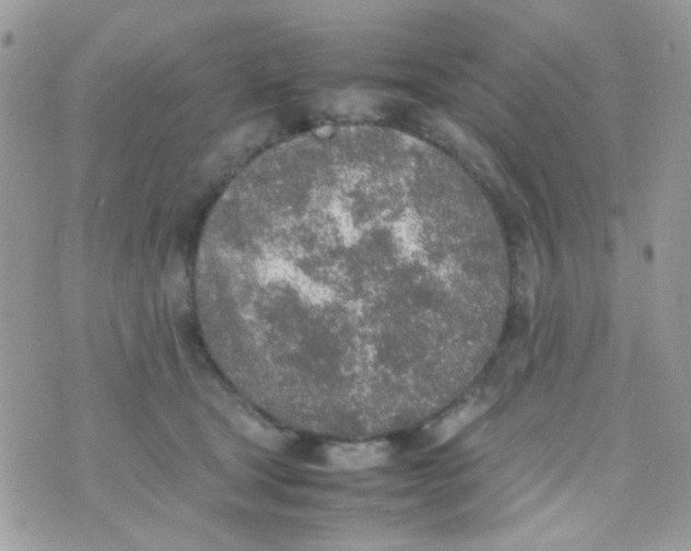 X0000074970465200609291942