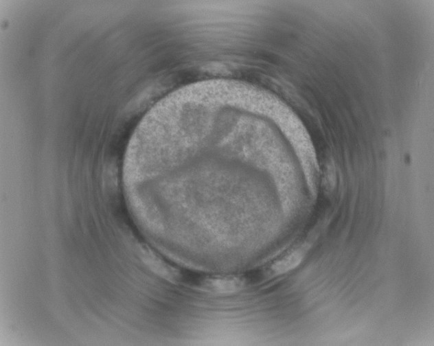 X0000074970466200609291942