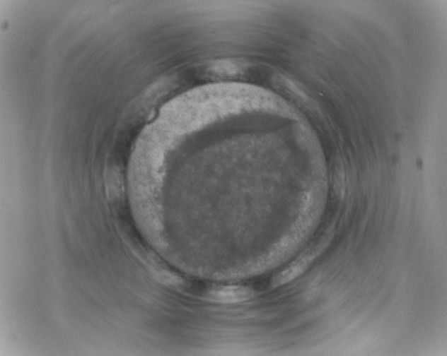 X0000074970467200609291942