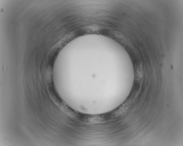 X0000074970468200609291942