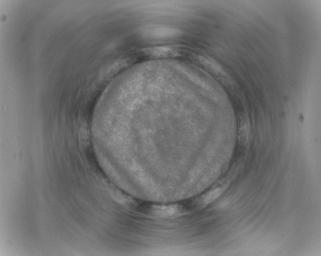 X0000074970469200609291942