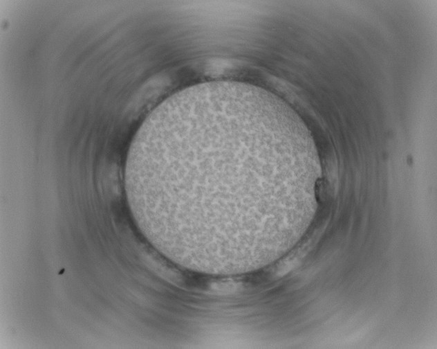 X0000074970470200609291942