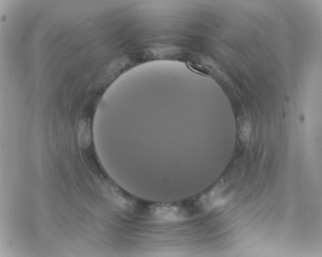 X0000074970471200609291942