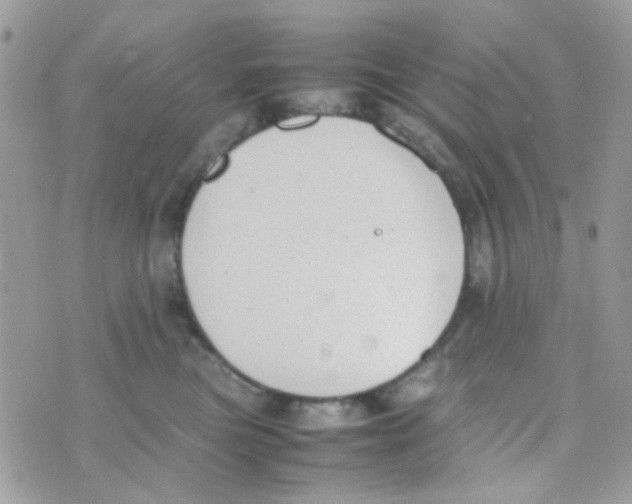 X0000074970473200609291942