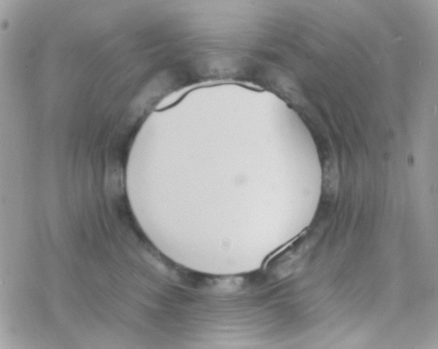 X0000074970474200609291943