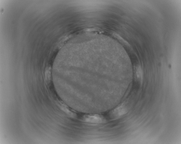 X0000074970475200609291943