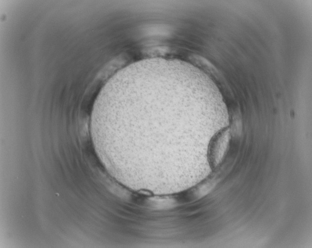 X0000074970477200609291943