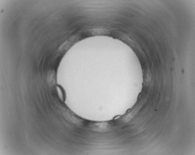 X0000074970478200609291943