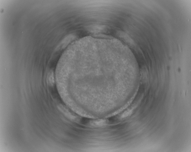 X0000074970479200609291943