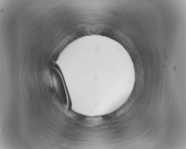 X0000074970480200609291943