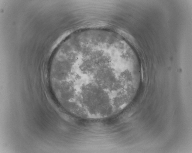 X0000074970483200609291942