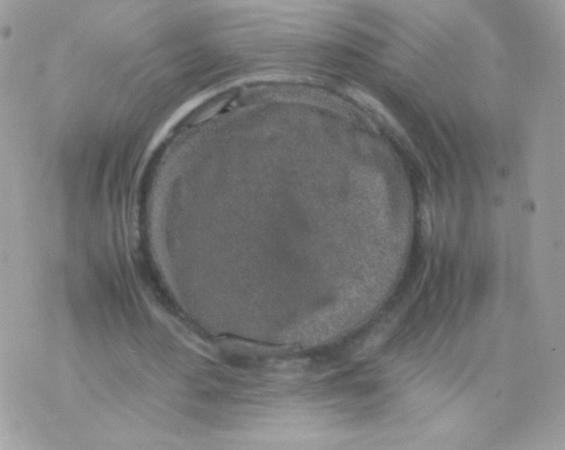 X0000074970484200609291942