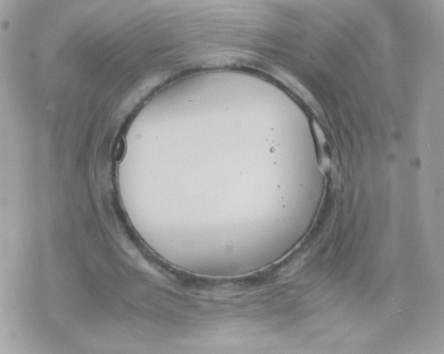 X0000074970485200609291942