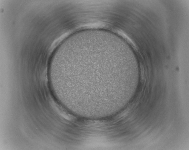 X0000074970486200609291942