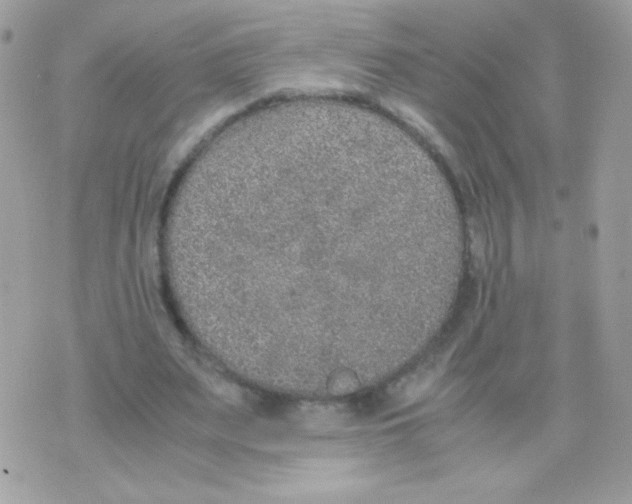 X0000074970487200609291942