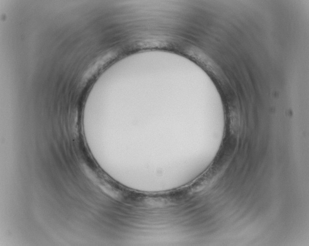 X0000074970490200609291942