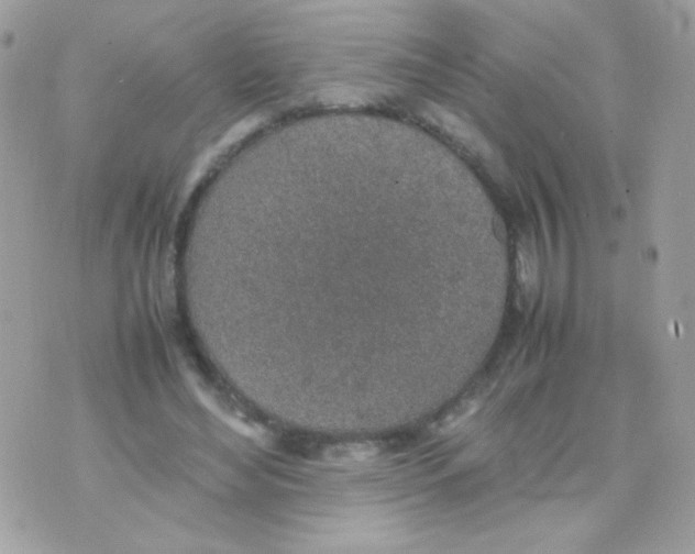 X0000074970492200609291942