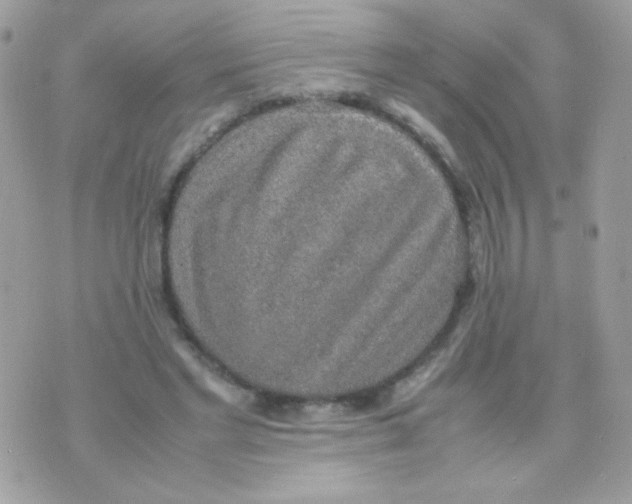 X0000074970493200609291942