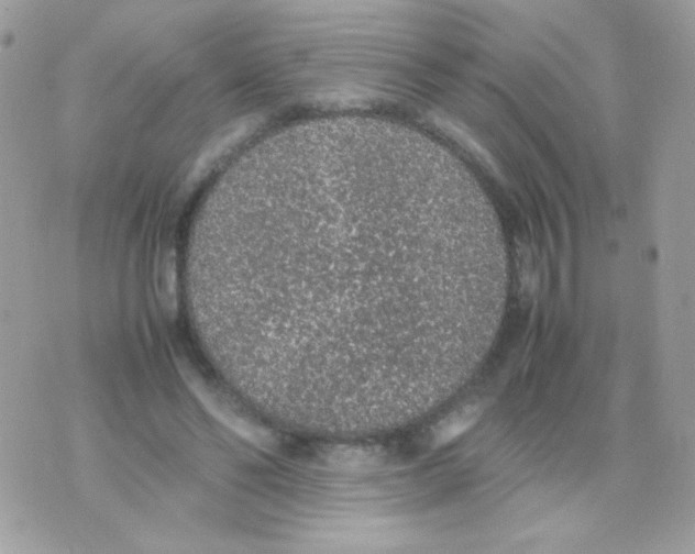 X0000074970494200609291942