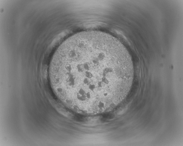 X0000074970495200609291942