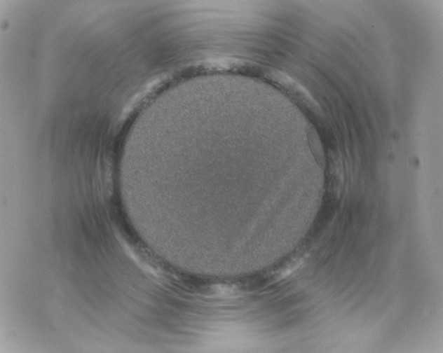 X0000074970496200609291942