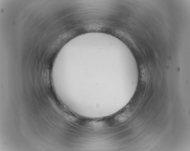 X0000074970498200609291942