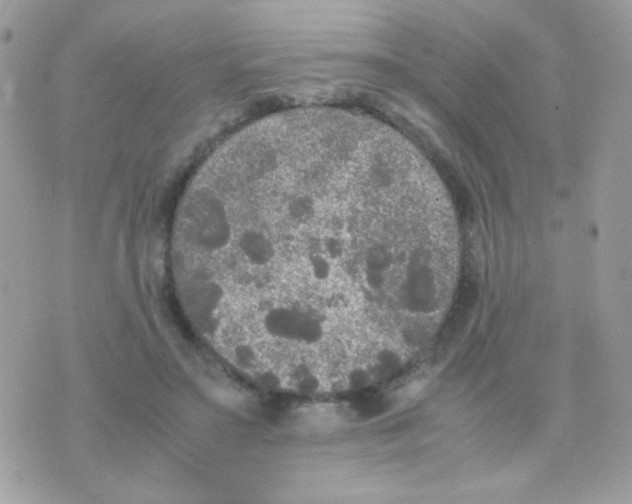 X0000074970499200609291942