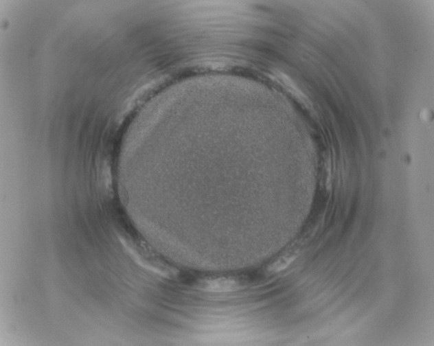 X0000074970500200609291942