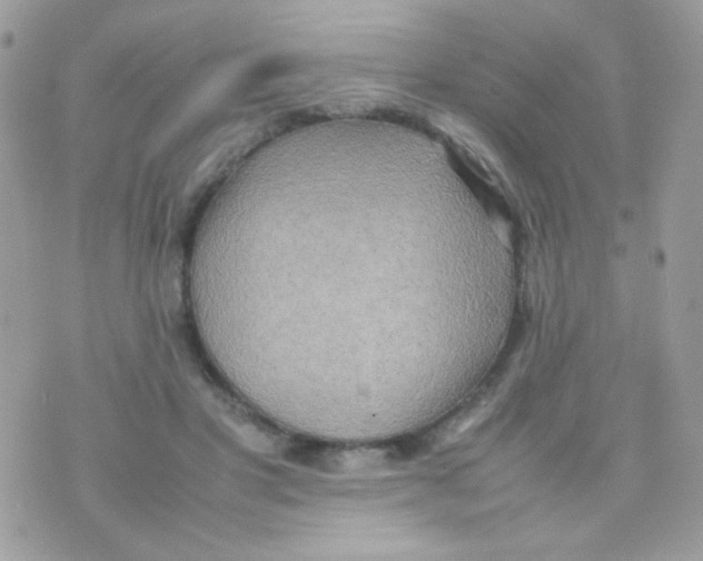 X0000074970501200609291942