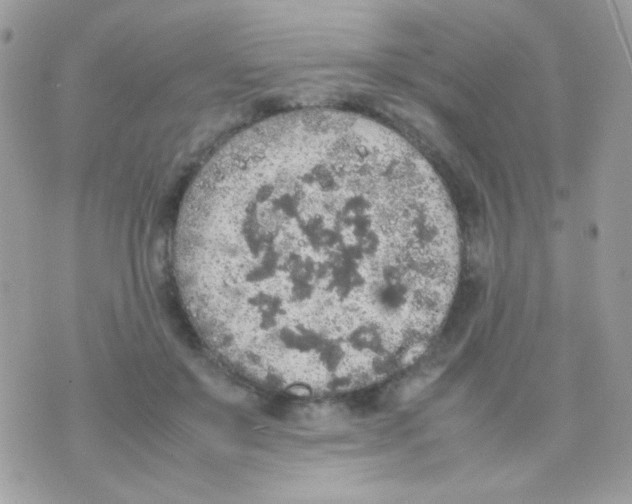 X0000074970503200609291941