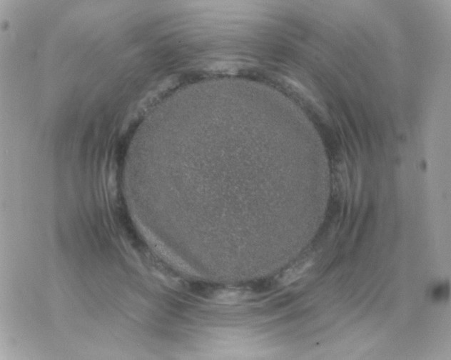 X0000074970504200609291941