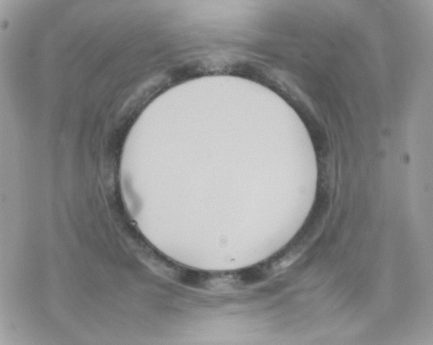 X0000074970505200609291941