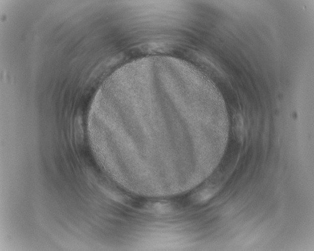 X0000074970506200609291941