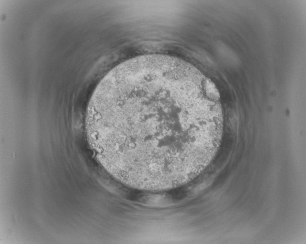 X0000074970507200609291941