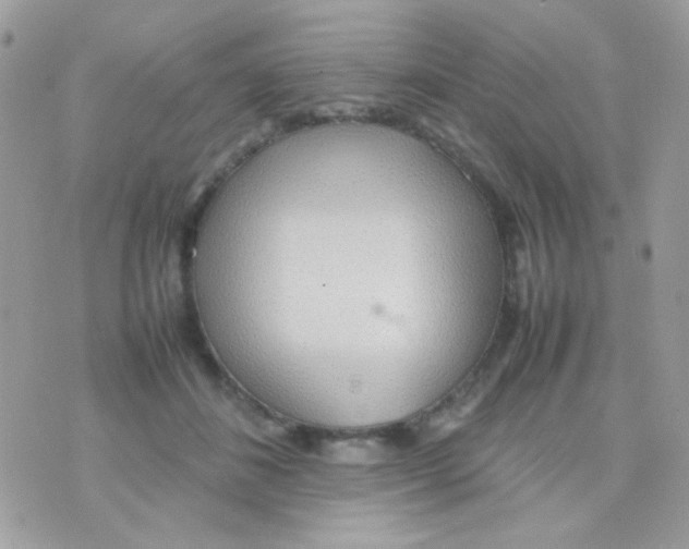 X0000074970508200609291941