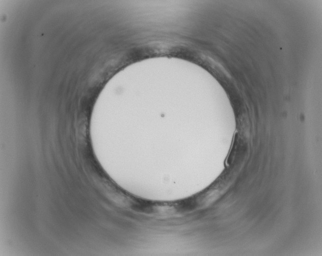 X0000074970509200609291941