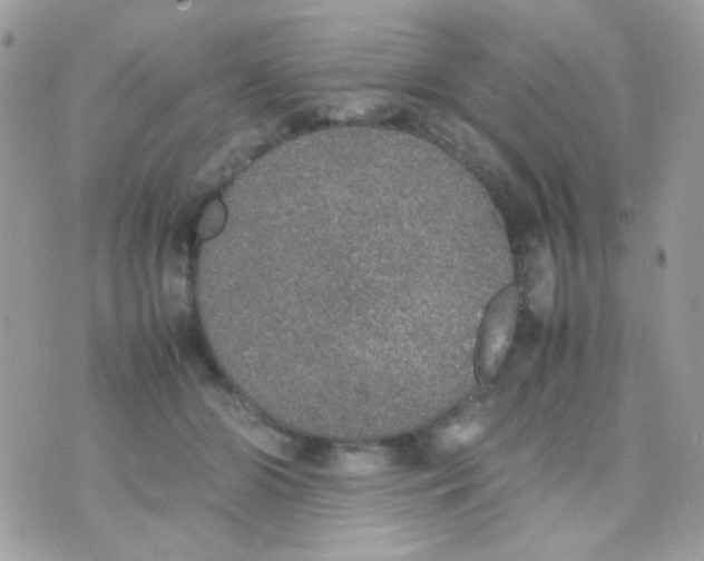 X0000074970510200609291941