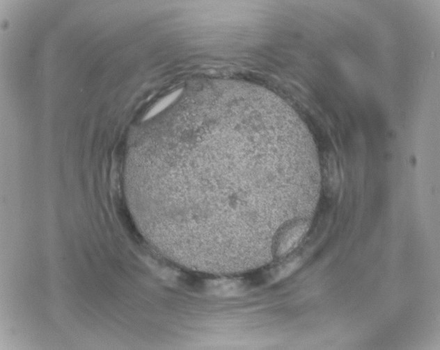 X0000074970511200609291941