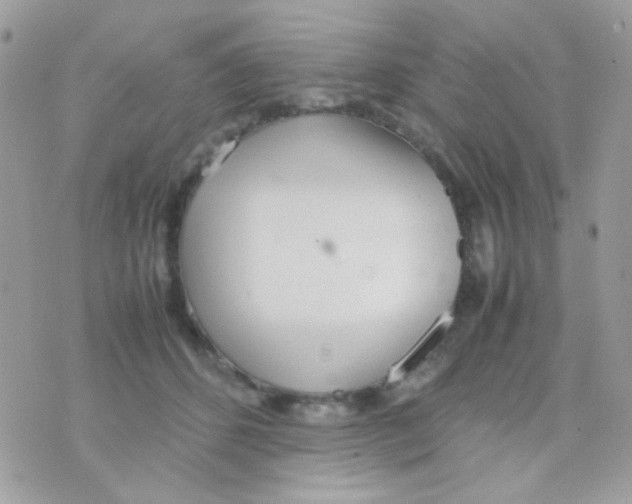 X0000074970512200609291941