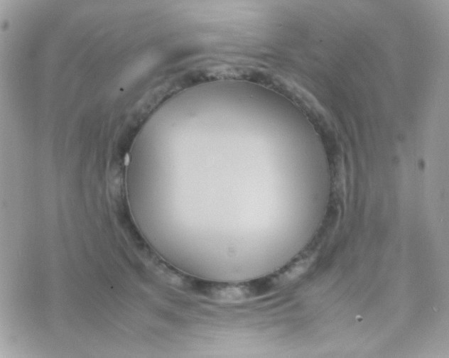 X0000074970513200609291941