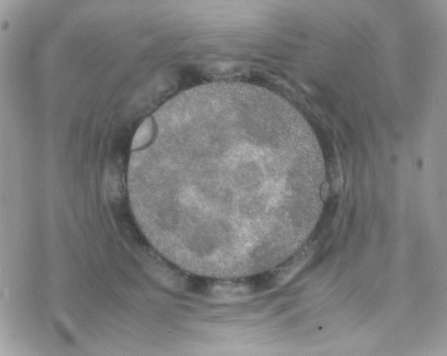 X0000074970515200609291941