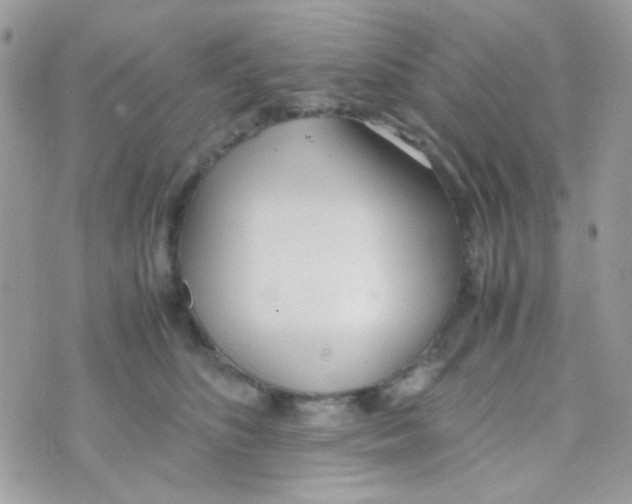 X0000074970516200609291941