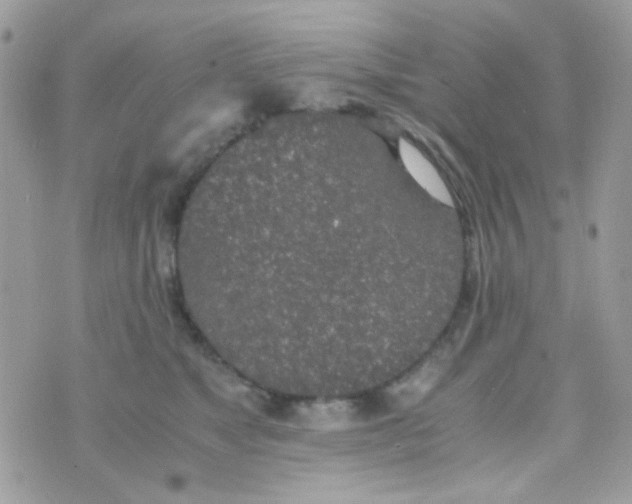 X0000074970517200609291941